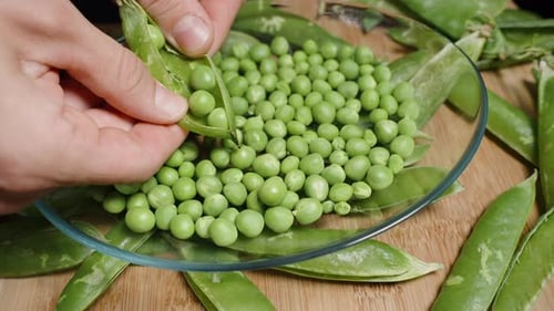 Everywhere, cleaned green pea pods close-up of a male hands cleaning peas into a plate.