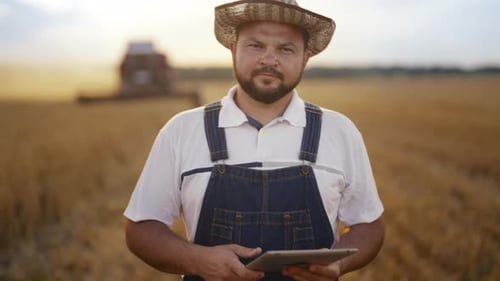 Bearded farmer holding tablet in golden wheat field
