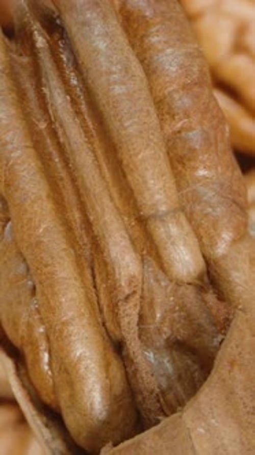 Vertical video. Pecan rotates and slowly falls onto a table with nuts. Dolly slider, close up.