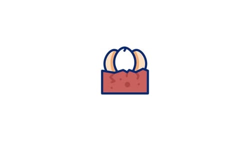 Eggs Animated Icon