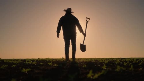 Einsamer Landarbeiter in wunderschönem Ackerland Rückansicht vor Sonnenaufgang am Morgen, Hintergrundbeleuchtung, Silhouette in