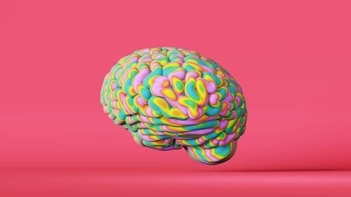 Colorful rainbow human brain 3d animation pink. LGBT pride symbol Color psychology behavior 4K