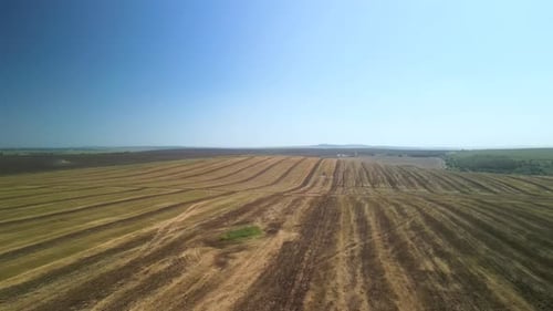 Agricultural field aerial view of farming in Ukraine