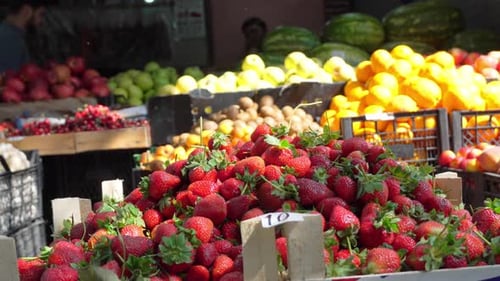 New spring harvest, ripe Dutch red sweet strawberries