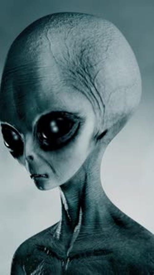 Scary Gray Alien Stands and Looks Blinking on a