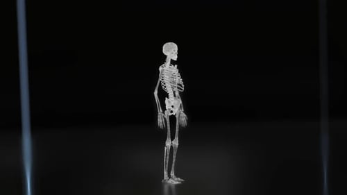 3D Human Skeleton rotating