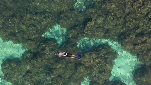 Vue aérienne d'une femme en plongée avec une tortue dans des eaux transparentes, Maldives.