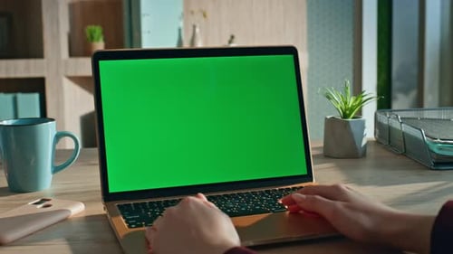 Business Lady Looking Greenscreen Laptop Checking Schedule at Office Close Up