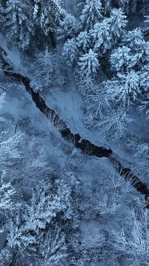 Stunning Aerial View of a SnowCovered Forest with a Beautiful River Flowing Nearby
