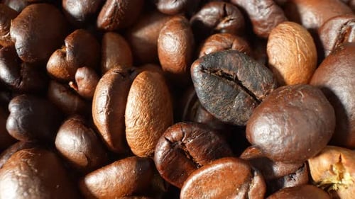 Roasted coffee beans in close-up.