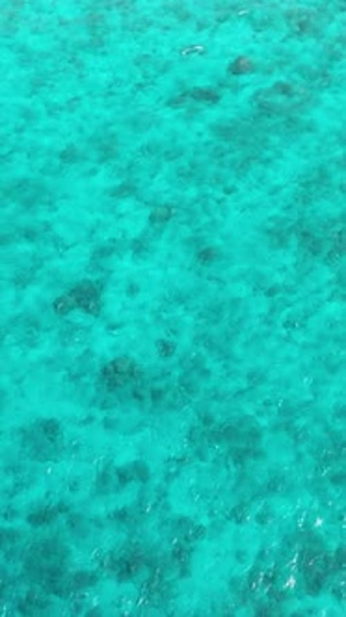 Tropical Sea with Turquoise Water
