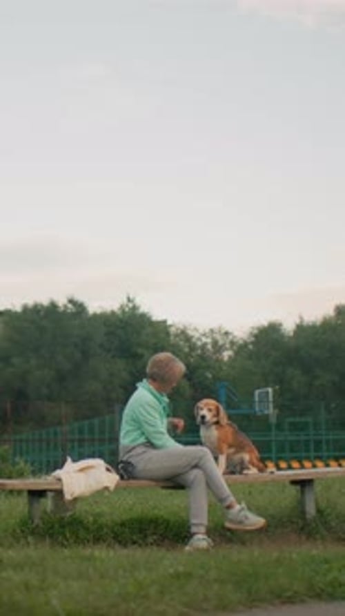 Woman with Dog Relaxed Park Walk with Beagle Woman and Beagle Enjoying Peaceful Outdoor Time Casual
