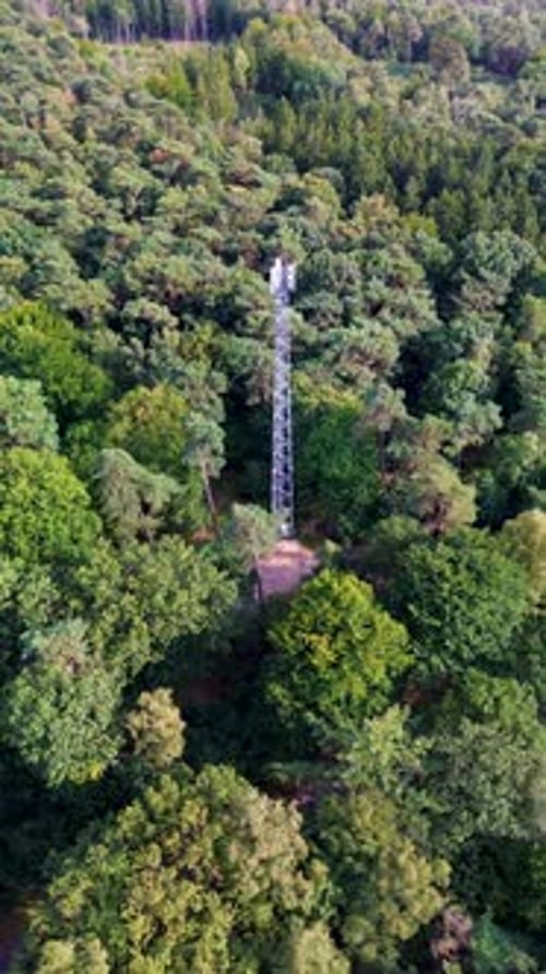 Aerial view of a telecommunications tower in a dense forest, accessed by a dirt road. The metallic