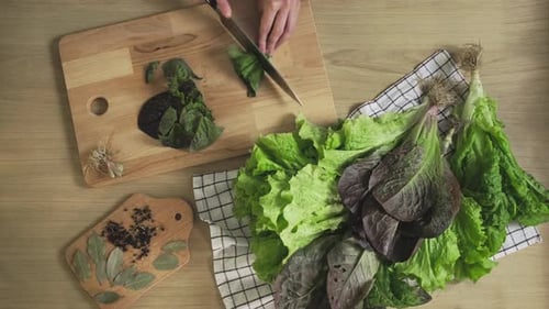Chopping green lettuce leaves on cutting board to eat. Healthy food