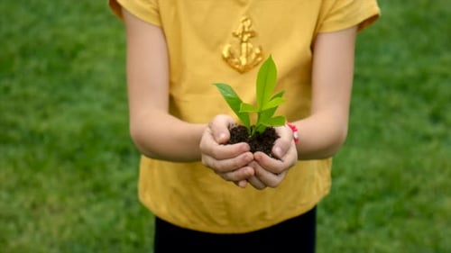 The Child Holds the Plant and Soil in His Hands