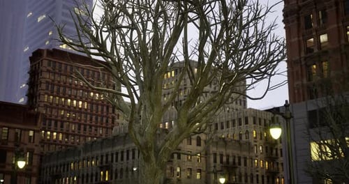 Branches of a Leafless Tree Stand Tall Against the Urban Skyline at Dusk