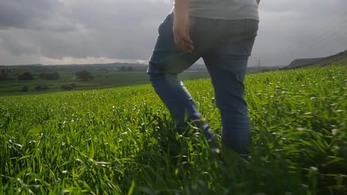 Low Angle Of Man Walking In Field Of Tall Green Grass With Grassland Landscape And Clouds In Backgro