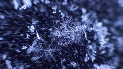Beautiful snowflake, closeup of cold water ice formation melting