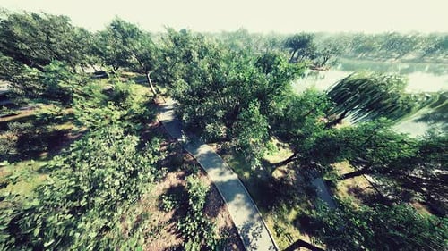 Aerial View of Beautiful Park
