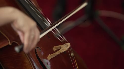 Close up of a musician playing the cello with a bow