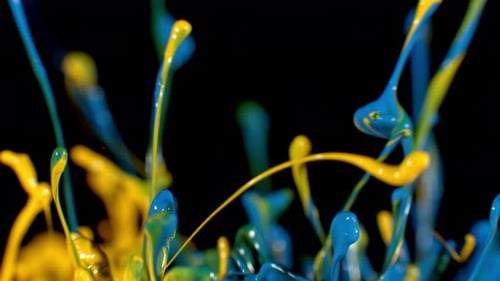 Dynamic Blue and Yellow Paint Splashes Mixing into Green
