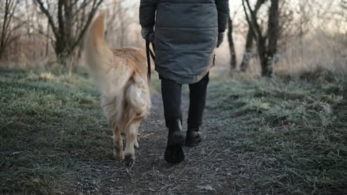 Dog Walk in Frosty Winter Nature Setting