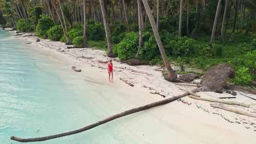Woman in Swimwear Walks on Tropical Sandy Beach with Quiet Blue Sea