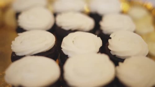 Delicious Chocolate Cupcakes With Creamy White Frosting