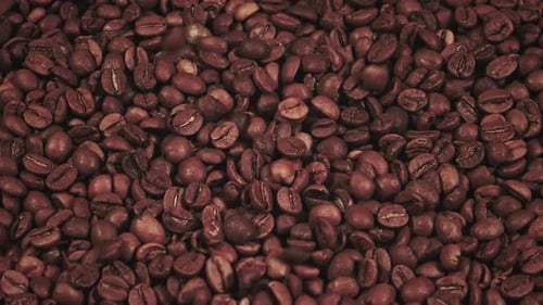 Close-up shot of coffee beans falling into a pile, creating a rich, aromatic, and textured visual. P
