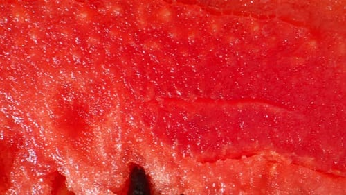 Watermelon in macro video