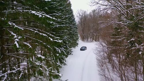 Winter landscape. Forest and country road in the snow. Black car in the forest.