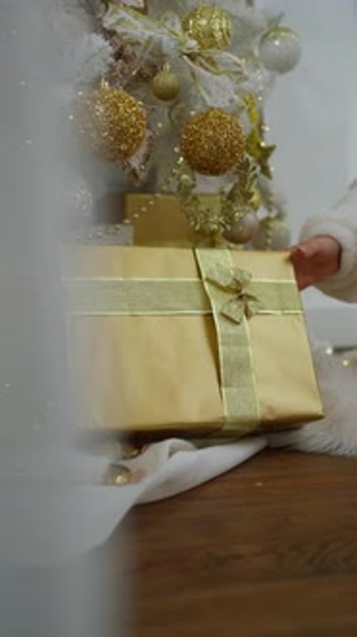 Child Places Presents Under Christmas Tree Indoors