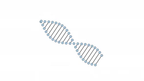 Dna strand rotating line 2D object animation