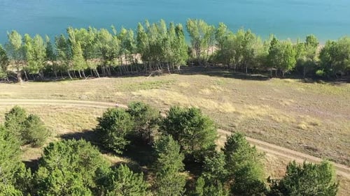 Vue aérienne de personnes faisant du vélo dans la forêt au bord du lac