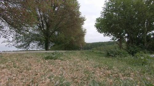 Laufender Mann läuft am Deich vorbei, Natur läuft