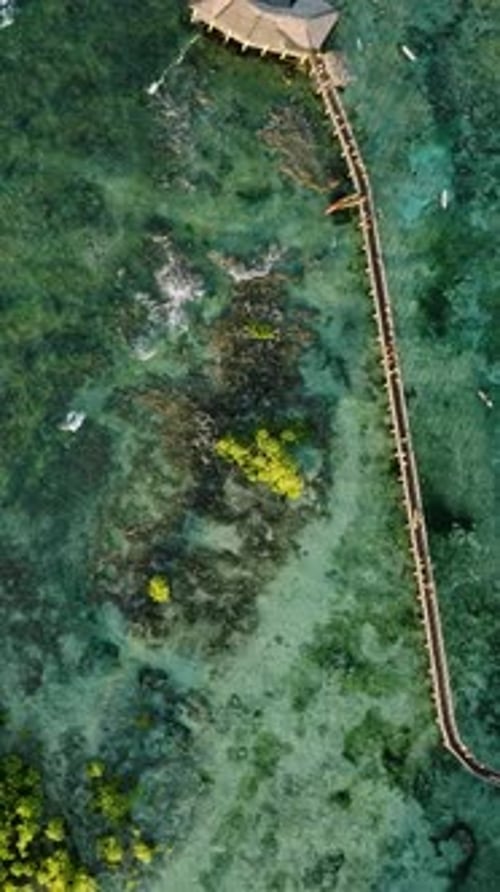 Vista aproximada do cais que se estende sobre águas claras e rasas, Siargao, Filipinas