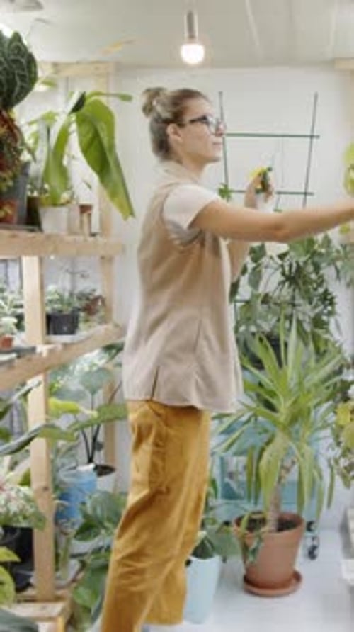 Female Florist Watering Potted Plants in Flower Shop