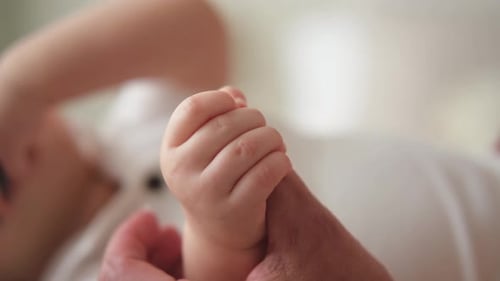 Tiny Infant Hand Holding Adult Finger Close-Up