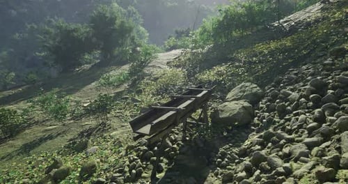 Wooden Cart on Rocky Path Surrounded By Lush Greenery in a Tranquil Setting
