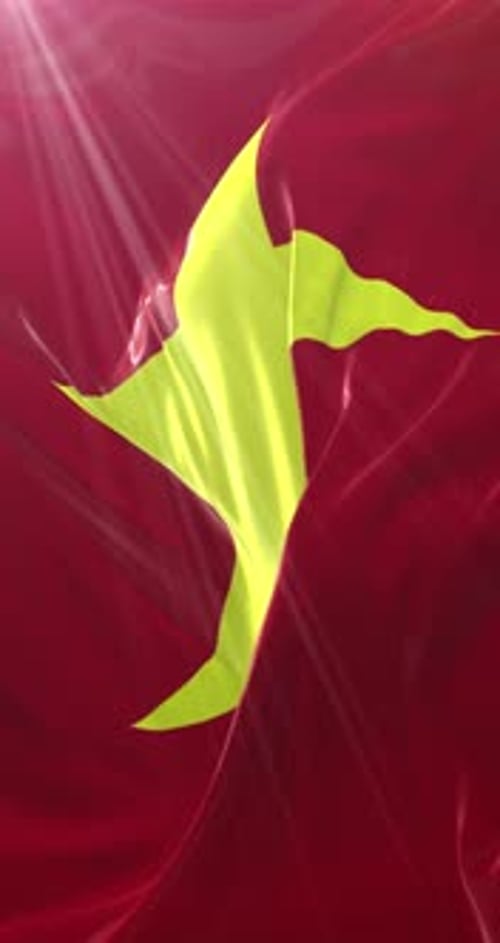 Vietnam Flag