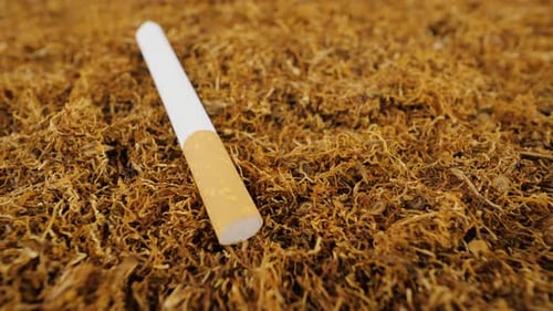 Tabaco y cigarrillos