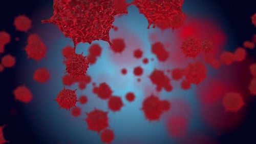 Red Microscopic Cells Floating and Multiplying in 3D Animation