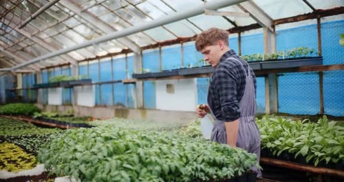 Young Adult Spritzing Plants in Greenhouse