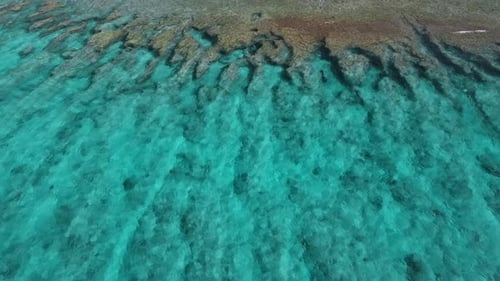 Maldives Island Tropical Coastline with Beach Palms Trees and Ocean Drone View of Paradise Luxury