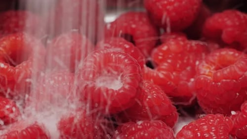 Sweet Raspberries Sprinkled with Sugar, Close Up