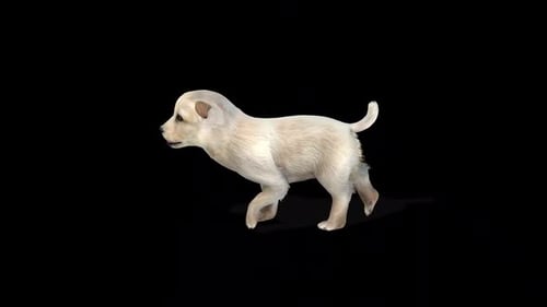 Cute Puppy Walk Idle 2