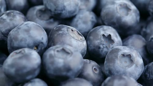 Fresh Blueberries, Fruit Background