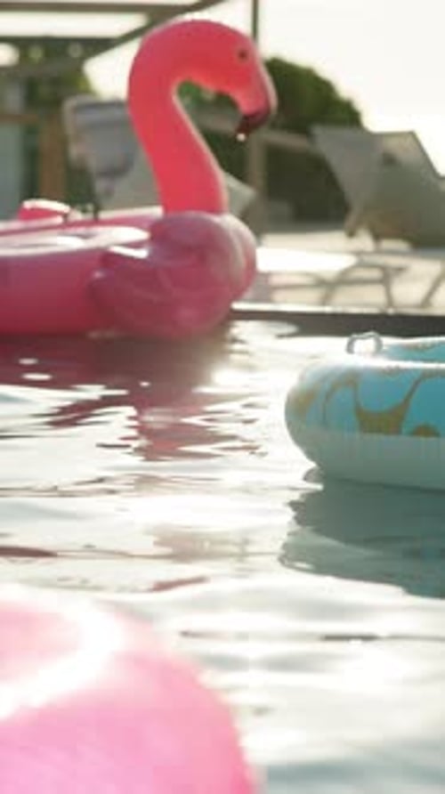 Flamingo, float and swimming pool of hotel in summer for hospitality, outdoor fun or relaxation