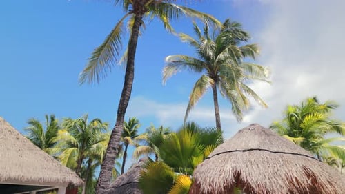 Un impresionante paraíso tropical con hermosas palmeras con techos de paja a su alrededor