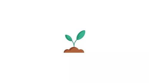 Flat Design Plant Growth Animation